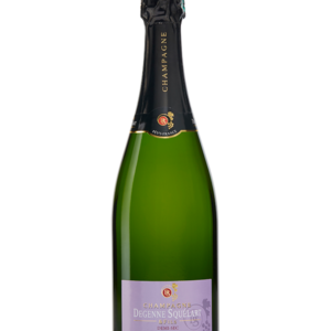 Bouteille Demi Sec Champagne Degenne
